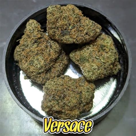 versace weed grinder|Strain Review: Versace by Fresh Baked .